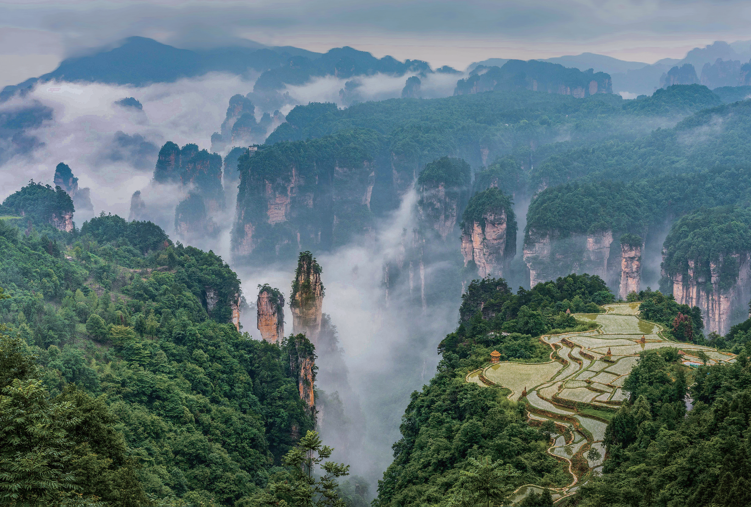 張家界2.png 張家界2.png